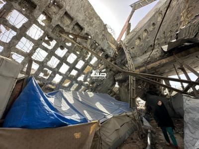 photo_2026-02-21_11-49-10