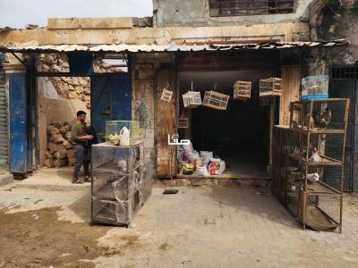 photo_2026-02-23_11-58-42