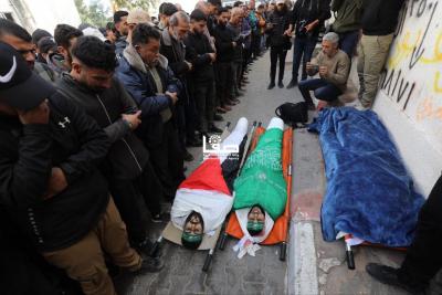 photo_2026-02-11_11-11-16