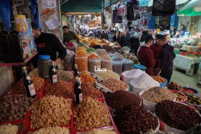 photo_2026-02-25_12-02-09