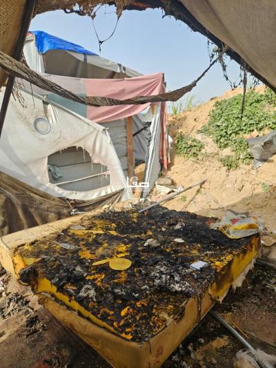 photo_2026-02-02_09-45-21