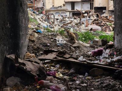 photo_2026-02-23_11-58-45