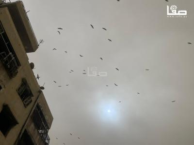 WhatsApp Image 2026-03-14 at 10.44.43 AM (1)