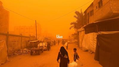 photo_2026-03-14_10-38-20