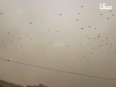 WhatsApp Image 2026-03-14 at 10.44.43 AM