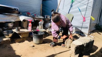 photo_2026-03-25_11-04-45