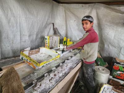 photo_2026-03-14_11-20-27