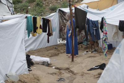 photo_2026-03-28_11-05-54