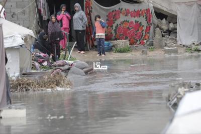 photo_2026-03-28_11-05-50