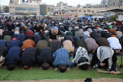 photo_2026-03-23_10-19-33