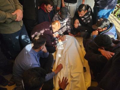 photo_2026-04-25_11-31-08