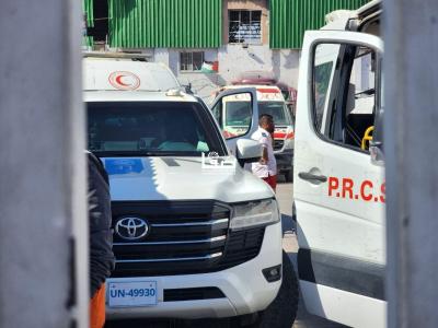 photo_2026-04-25_11-58-45