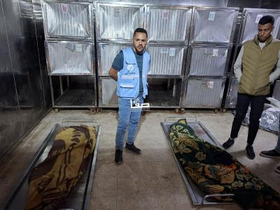 photo_2026-04-25_11-59-58