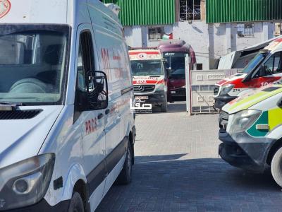 photo_2026-04-25_11-58-32