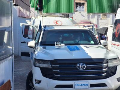 photo_2026-04-25_11-58-39