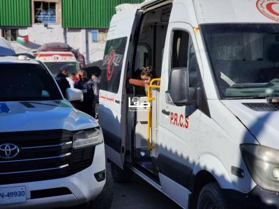 photo_2026-04-25_11-58-40