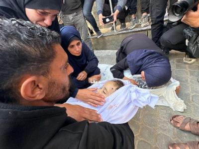 photo_2026-04-25_10-24-21