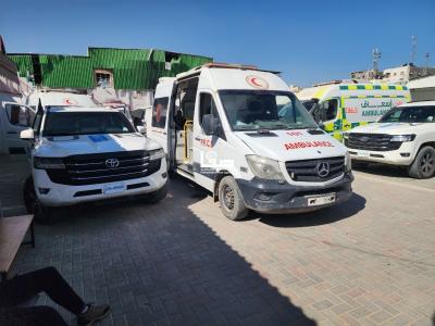 photo_2026-04-25_11-58-37