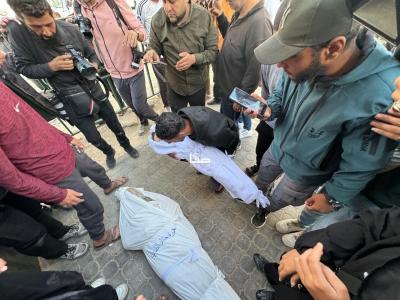 photo_2026-04-25_10-24-13