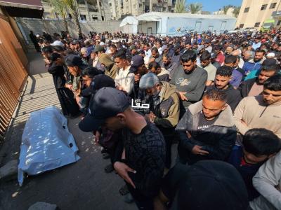 photo_2026-04-25_11-31-00