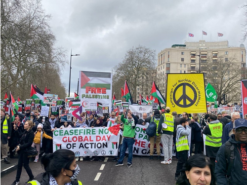 Screenshot 2024-02-17 at 19-37-42 مظاهرات ضخمة بلندن في اليوم العالمي للتضامن مع غزة (شاهد) - عربي21.png