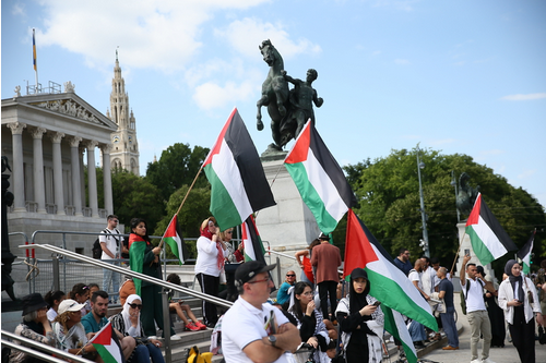 Screenshot 2024-06-23 at 16-36-17 فيينا.. وقفة احتجاجية تندد بالهجمات الإسرائيلية على غزة.png