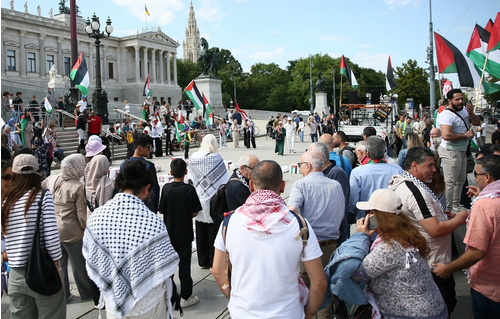 Screenshot 2024-06-23 at 16-36-12 فيينا.. وقفة احتجاجية تندد بالهجمات الإسرائيلية على غزة.png